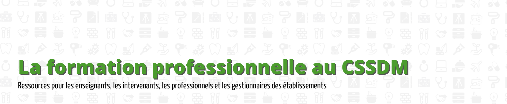 La formation professionnelle au CSSDM